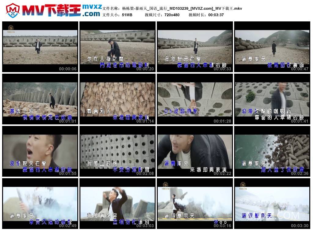 杨栋梁-暴雨天_国语_流行_MD103239